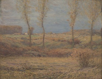 Novembermorgen von Dwight William Tryon